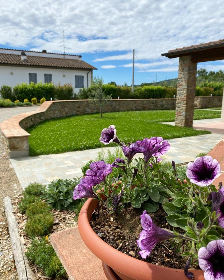 Il Cerro Daire Arezzo Dış mekan fotoğraf